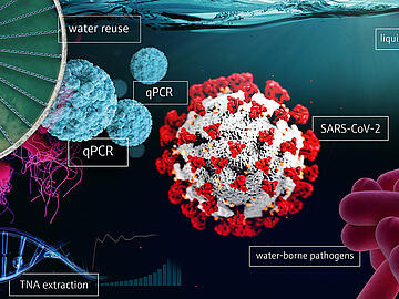 PCR Biosurveillance Header