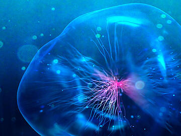 Banner How to analyze single nanoparticles and cells using fast time-resolved ICP-MS