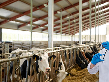 Veterinärdiagnostik (symbolische Darstellung) Neue Kits für Nukleinsäureextraktion im Veterinärbereich