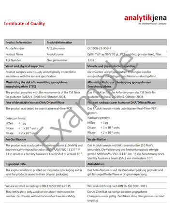 Example Certificate