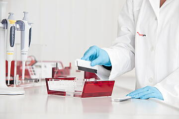 Agarose Gel Electrophoresis