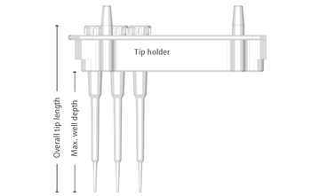 Sizes of pipetting tips with tip holder