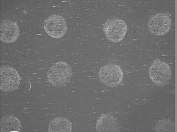 Micrograph of HCCA spotted onto a MALDI 1536 plate and air-dried. The spots have an irregular, crystalline appearance.