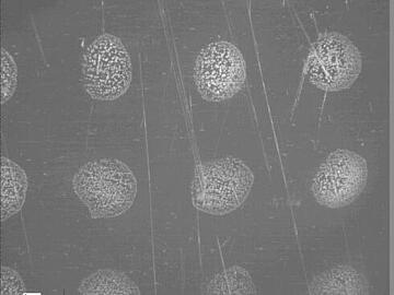 Micrograph of sinaptic acid spotted onto a MALDI 1536 plate and dried by gentle heat/vacuum.