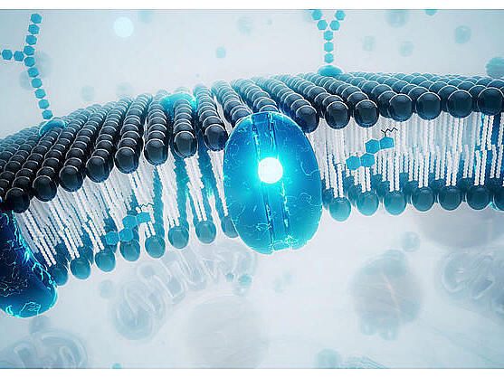 From expert task to lab routine: Membrane protein purification and analysis simplified