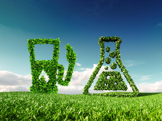 Alternative Feedstocks – Opportunities and Challenges