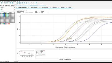 Screenshot qPCRsoft 5.0: Absolute quantification analysis