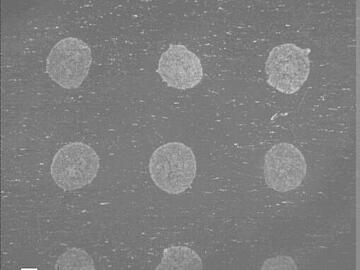 Micrograph of spotted MALDI matrix dried by gentle heat and vacuum. The actively dried spots have a round, even appearance.