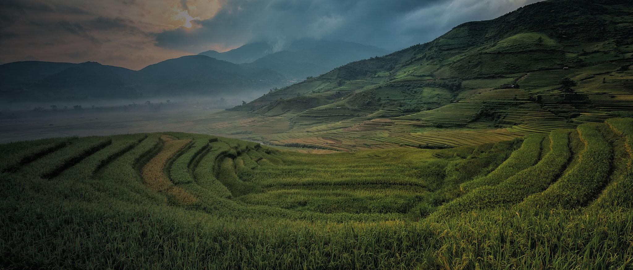 legal-und-unbeschwert-analytik-jena-us-llc-analytik-jena